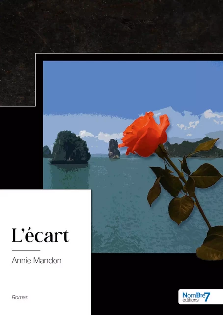 L'écart - Annie Mandon - Nombre7 Editions