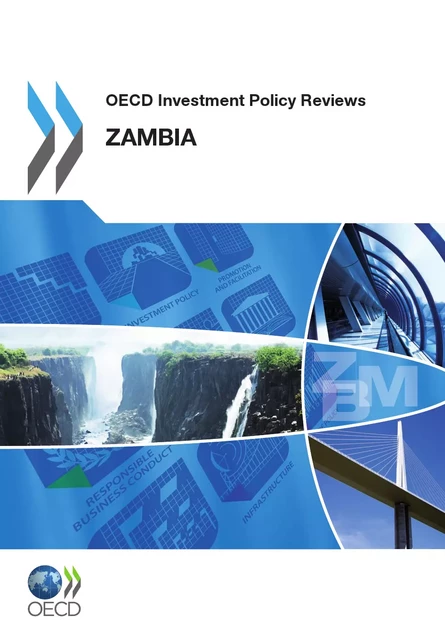 OECD Investment Policy Reviews: Zambia 2012 -  Collective - OECD