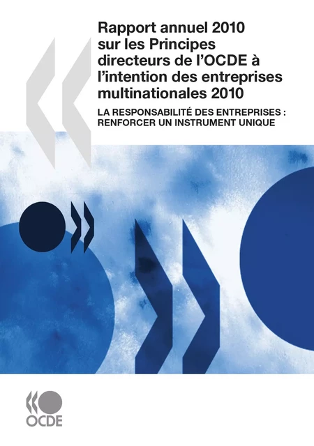 Rapport annuel 2010 sur les Principes directeurs de l'OCDE à l'intention des entreprises multinationales -  Collectif - OECD