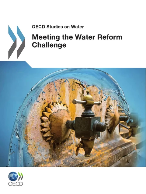 Meeting the Water Reform Challenge -  Collective - OECD