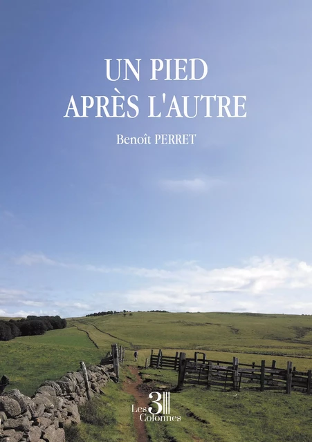 Un pied après l'autre - Benoît Perret - Éditions les 3 colonnes