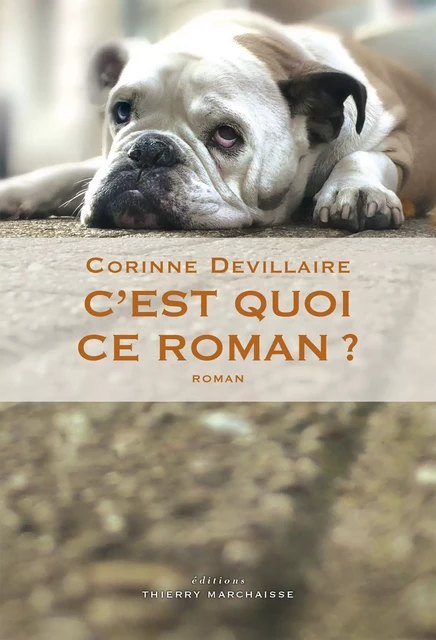 C'est quoi ce roman ? - Corinne Devillaire - Éditions Thierry Marchaisse