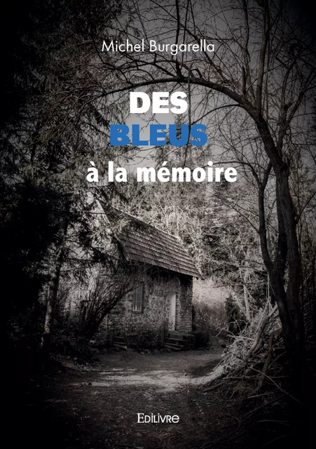 Des Bleus à la mémoire - Michel Burgarella - Editions Edilivre