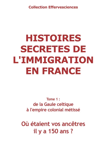 Histoires secrètes de l'immigration en France-tome 1 - Odile Alleguède, Jean-Yves Gauchet - Midinnova