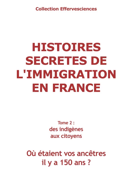 Histoires secretes de l'immigration en France - tome 2 - Odile Alleguède, Jean-Yves Gauchet - Midinnova