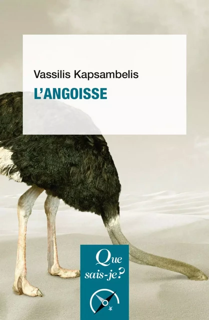 L'Angoisse - Vassilis Kapsambelis - Humensis