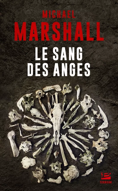 Le Sang des anges - Michael Marshall - Bragelonne