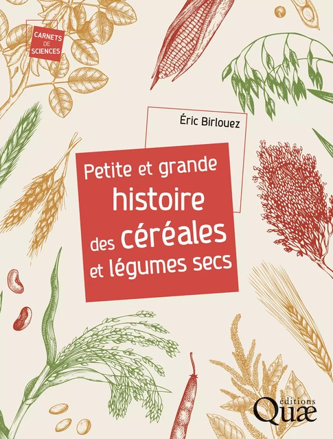 Petite et grande histoire des céréales et légumes secs - Éric Birlouez - Quae