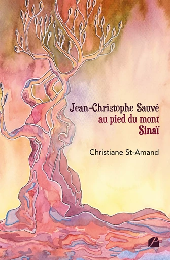 Jean-Christophe Sauvé au pied du mont Sinaï - Christiane St-Amand - Editions du Panthéon