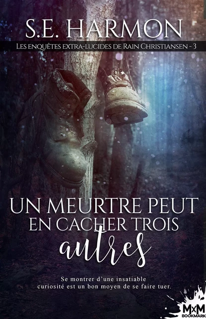 Un meurtre peut en cacher trois autres - S.E. Harmon - MxM Bookmark