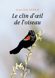 Le clin d'œil de l'oiseau