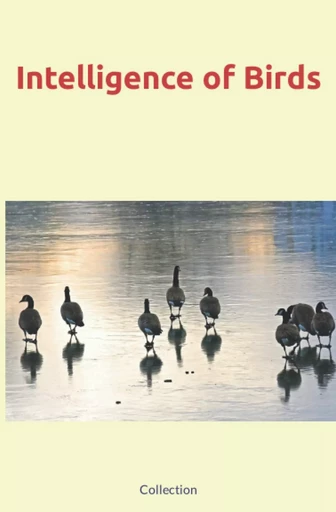 Intelligence of Birds -  Collection, Nature And Human Studies - Human and Literature Publishing