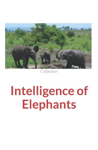 Intelligence of Elephants -  Collection, Nature And Human Studies - Human and Literature Publishing