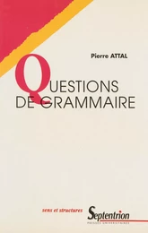 Questions de grammaire