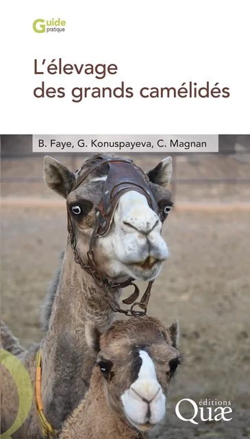 L’élevage des grands camélidés - Bernard Faye, Gaukhar Konuspayeva, Cécile Magnan - Quae