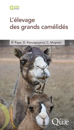 L’élevage des grands camélidés