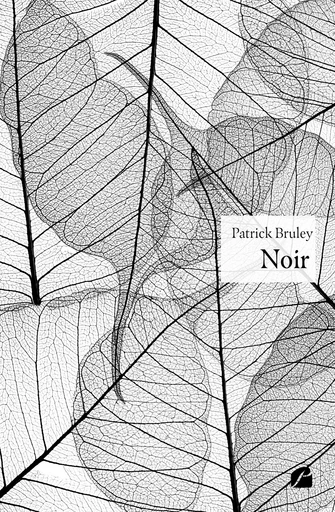 Noir - Patrick Bruley - Editions du Panthéon