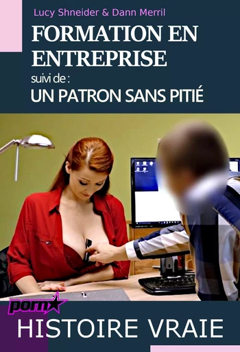 Formation en entreprise, suivi de : Un patron sans pitié  [Sexe au travail, Histoires vraies]. - Lucy Shneider, Dann Merril - Ink book