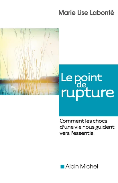 Le Point de rupture - Marie-Lise Labonté - Albin Michel