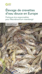 Élevage de crevettes d’eau douce en Europe