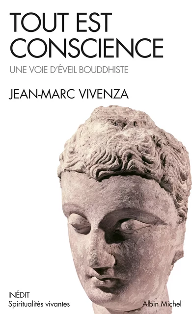 Tout est conscience - Jean-Marc Vivenza - Albin Michel