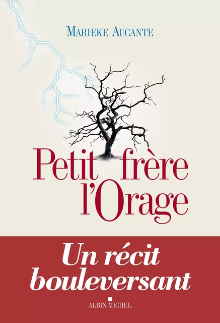 Petit Frère l'Orage - Marieke Aucante - Albin Michel