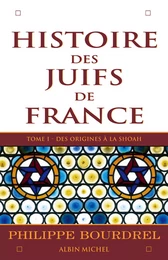 Histoire des Juifs de France - tome 1