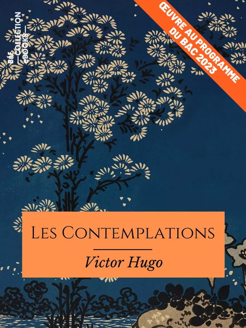 Les Contemplations - Victor Hugo - BnF collection ebooks