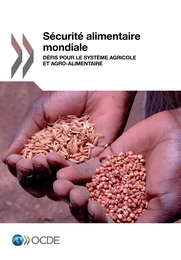 Sécurité alimentaire mondiale