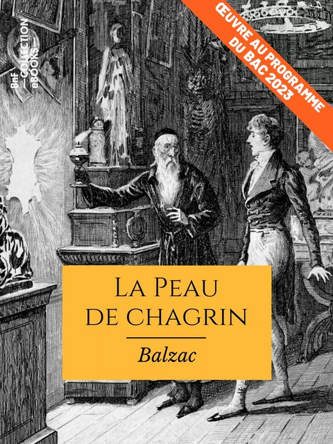 La Peau de chagrin - Honoré de Balzac - BnF collection ebooks