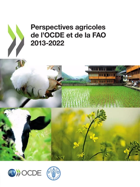 Perspectives agricoles de l'OCDE et de la FAO 2013 -  Collectif - OECD