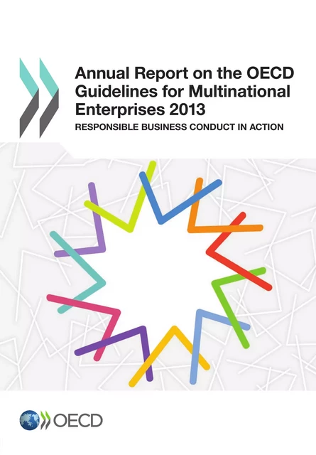 Annual Report on the OECD Guidelines for Multinational Enterprises 2013 -  Collective - OECD