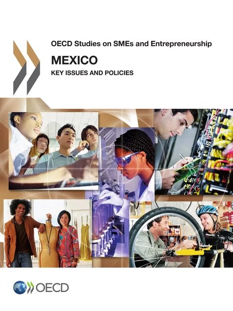 Mexico: Key Issues and Policies -  Collective - OECD