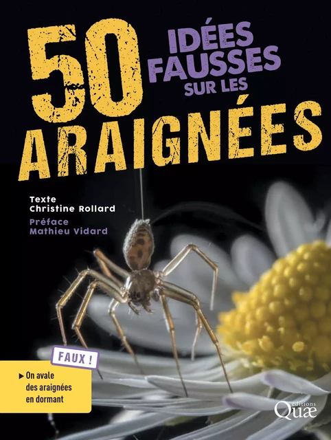 50 idées fausses sur les araignées - Christine Rollard - Quae