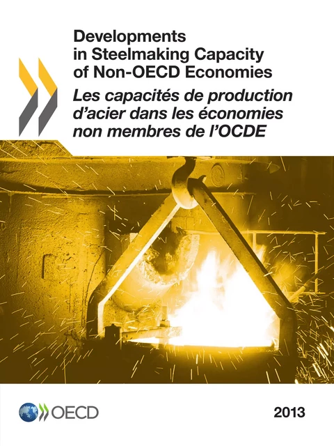 Les capacités de production d'acier dans les économies non membres de l'OCDE 2013 -  Collective - OECD