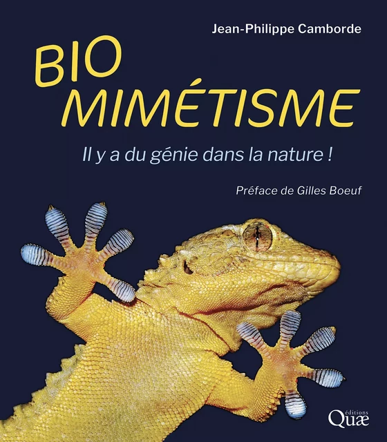 Biomimétisme - Jean-Philippe Camborde - Quae