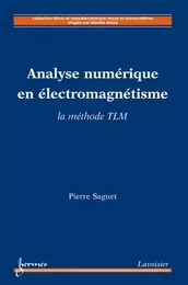 Analyse numérique en électromagnétisme