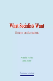 What Socialists Want