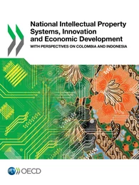 National Intellectual Property Systems, Innovation and Economic Development