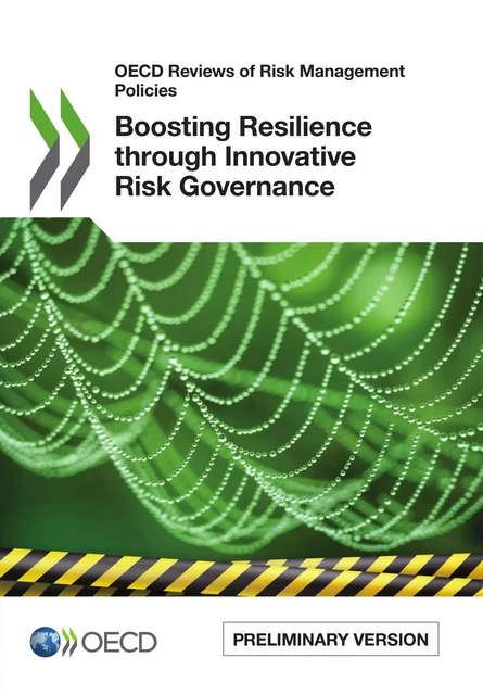 Boosting Resilience through Innovative Risk Governance -  Collective - OECD