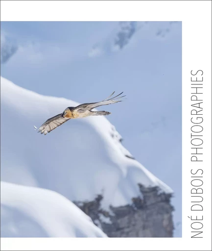 Noé Dubois Photographies - Noé Dubois - L'Esprit de la Lettre