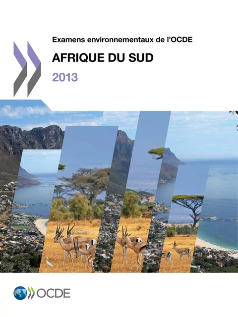 Examens environnementaux de l'OCDE : Afrique du Sud 2013 -  Collectif - OECD