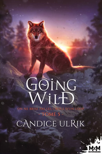 On ne brise pas les crocs d'un loup - Candice Ulrik - MxM Bookmark