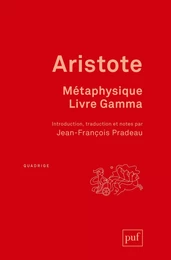 Métaphysique, livre Gamma