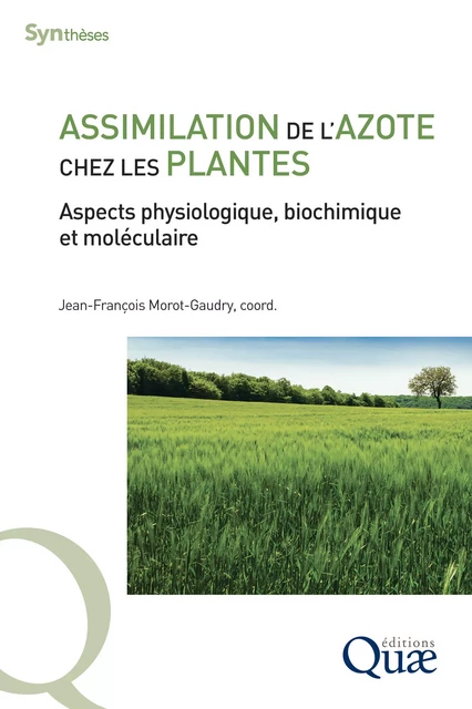 Assimilation de l'azote chez les plantes - Jean-François Morot-Gaudry - Quae