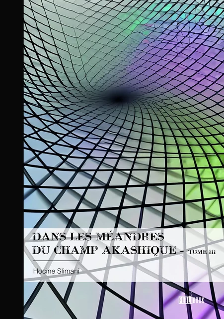 Dans les méandres du champ akashique - Hocine Slimani - Publibook