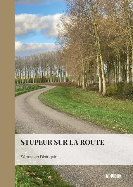 Stupeur sur la route - Sébastien Distriquin - Publibook