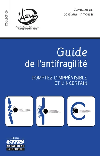 Guide de l’antifragilité - Soufyane Frimousse - Éditions EMS