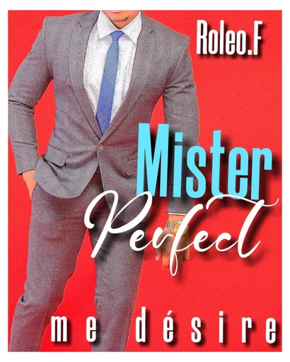 Mister perfect me désire 1 (édition française) -  Roleo.F - JL