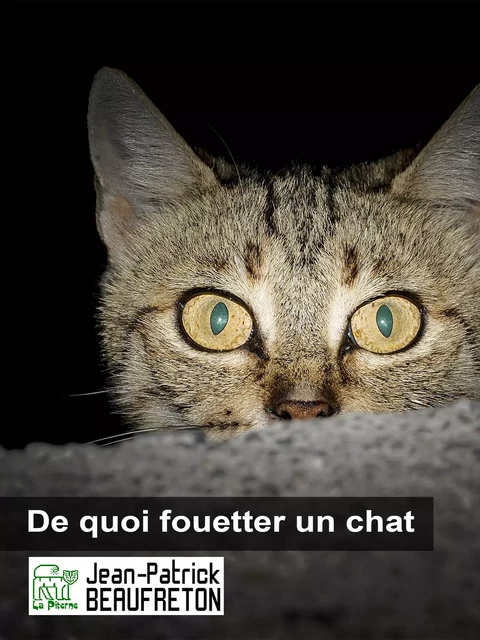 De quoi fouetter un chat - Jean-Patrick Beaufreton - La Piterne